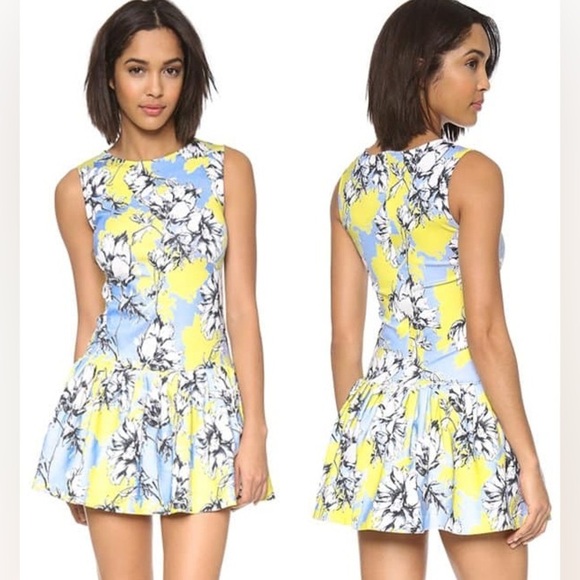 TORN BY RONNY KOBO BRADY FLORAL YELLOW MINI FIT FLARE DROP WAIST DRESS SZ S - Picture 14 of 14